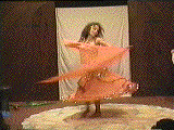 Belly dancers, Ft Lauderdale