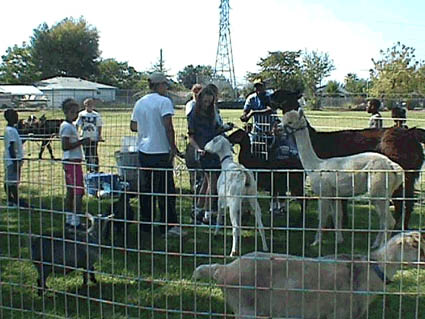 Animal zoo in San Francisco